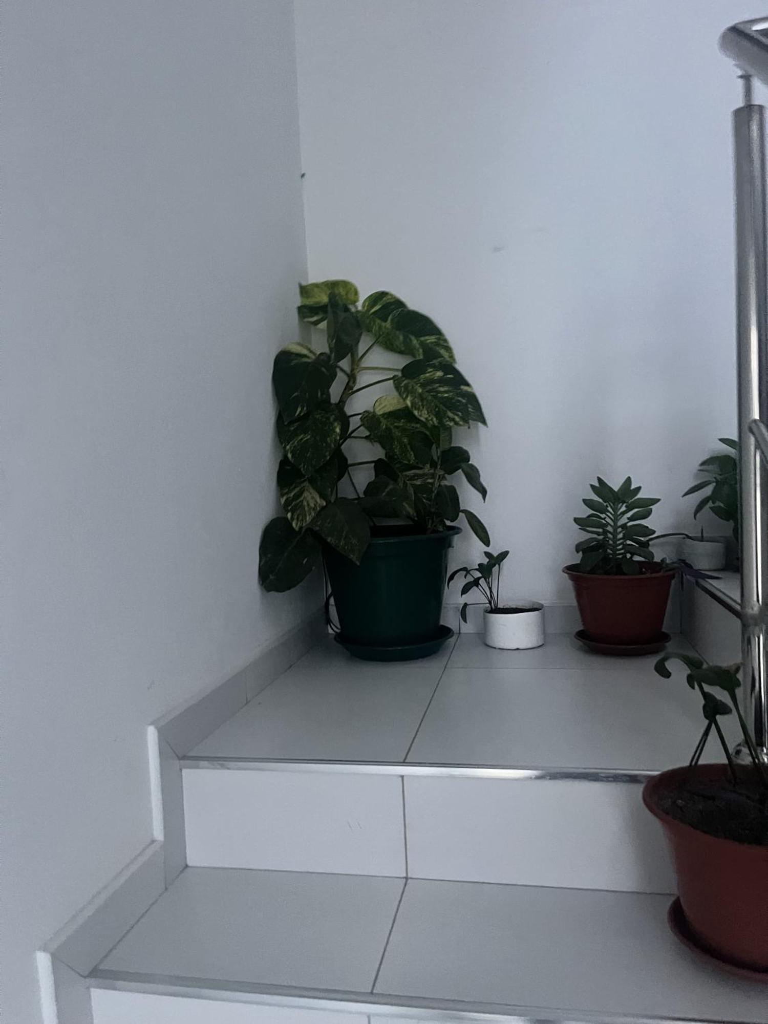Oasis De Retour Apartment ปงตา ดู ซอล ภายนอก รูปภาพ