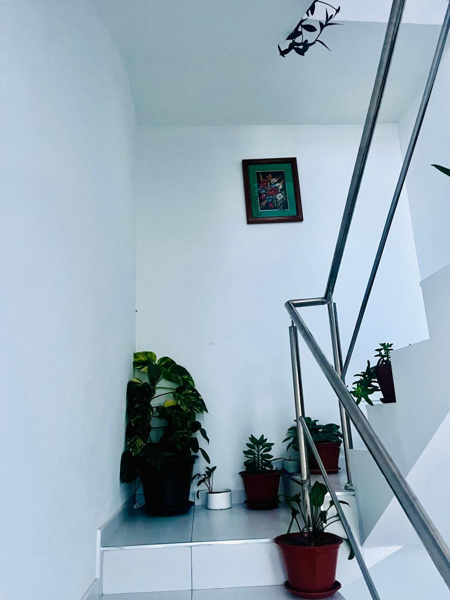 Oasis De Retour Apartment ปงตา ดู ซอล ภายนอก รูปภาพ